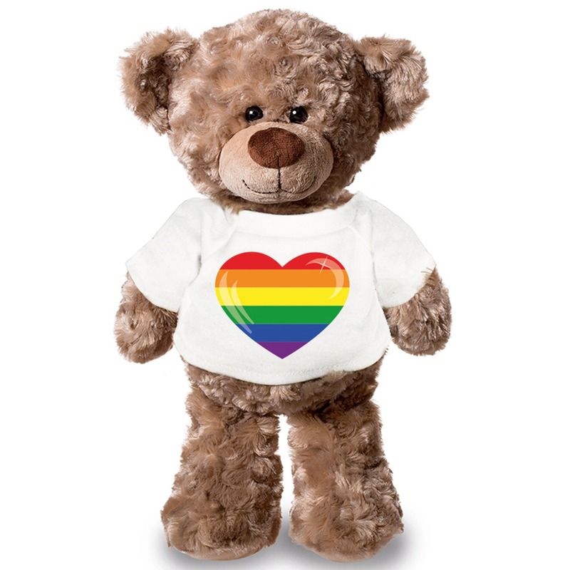 Knuffel teddybeer met Gaypride vlag hart t-shirt 43 cm -