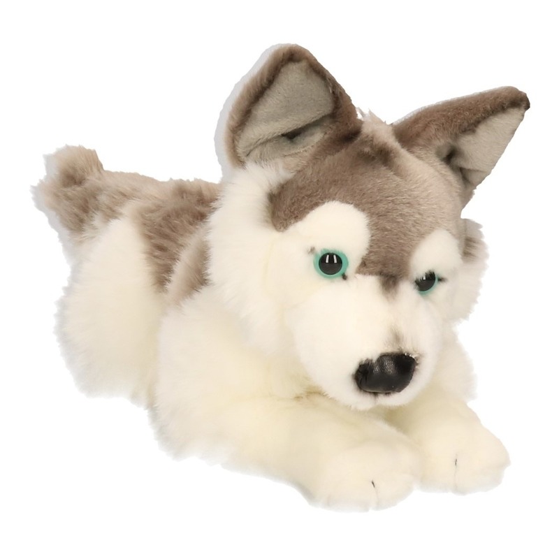 Pluche Husky hond knuffel 30 cm -
