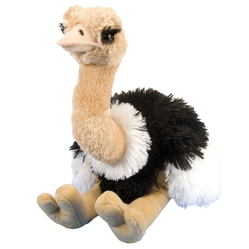 Pluche struisvogel knuffel - 35 cm - struisvogels - speelgoed knuffels -