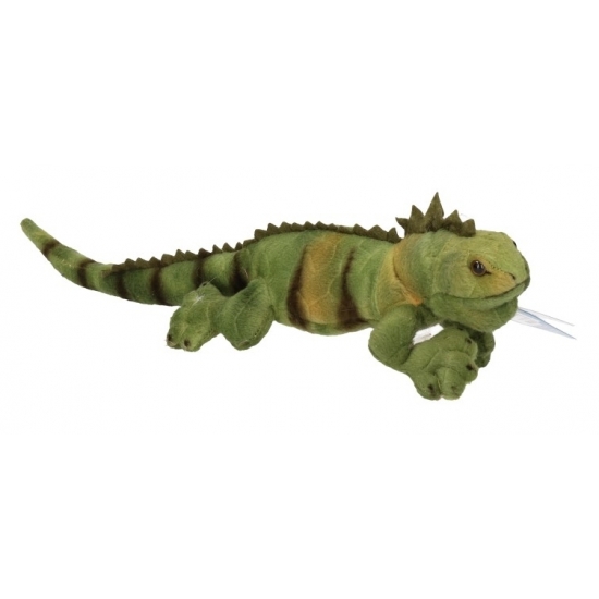 Pluche leguaan 36 cm -
