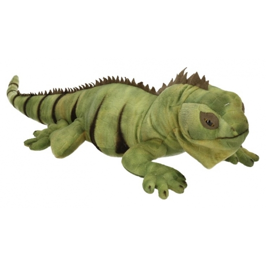 Pluche grote leguaan knuffel 64 cm -