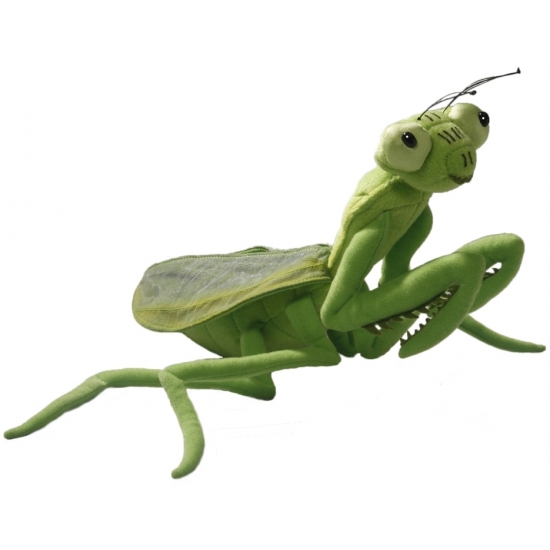 Bidsprinkhaan insecten knuffel - groen - 35 cm - pluche - sprinkhaan -