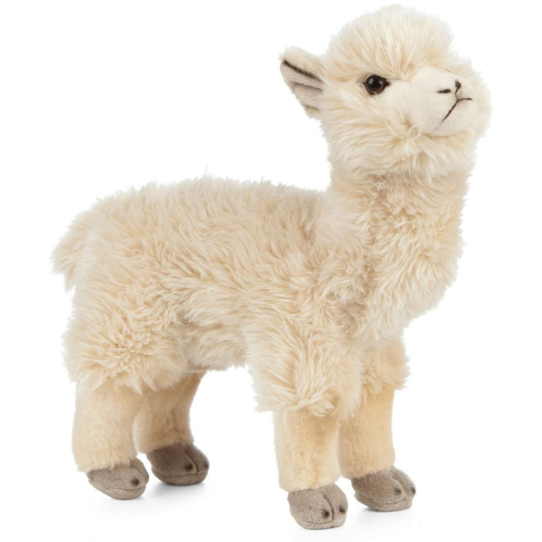 Pluche witte alpaca/lama knuffel 24 cm speelgoed -