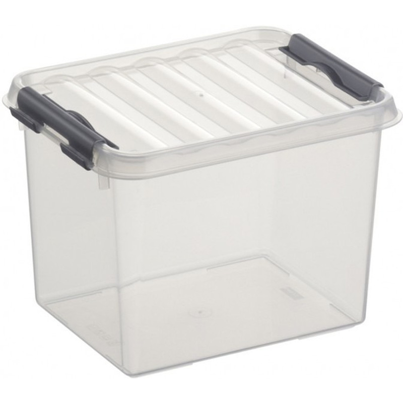 Opberg box/opbergdoos 3 liter 20 x 15 x 14 cm kunststof -