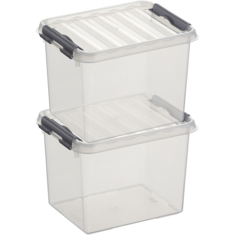 2x Opberg boxen/opbergdozen 3 liter 20 cm kunststof -