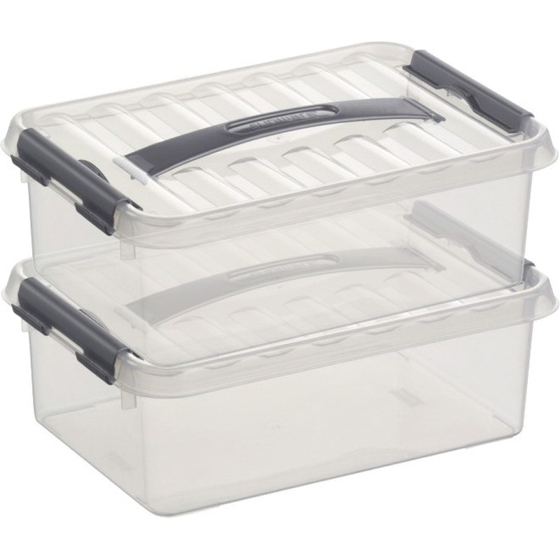 2x Opberg boxen/opbergdozen 4 liter 30 cm kunststof -