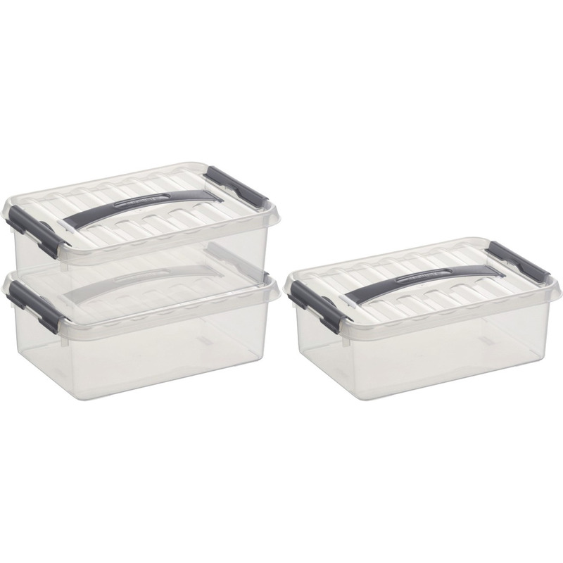 3x Opberg boxen/opbergdozen 4 liter 30 cm kunststof -
