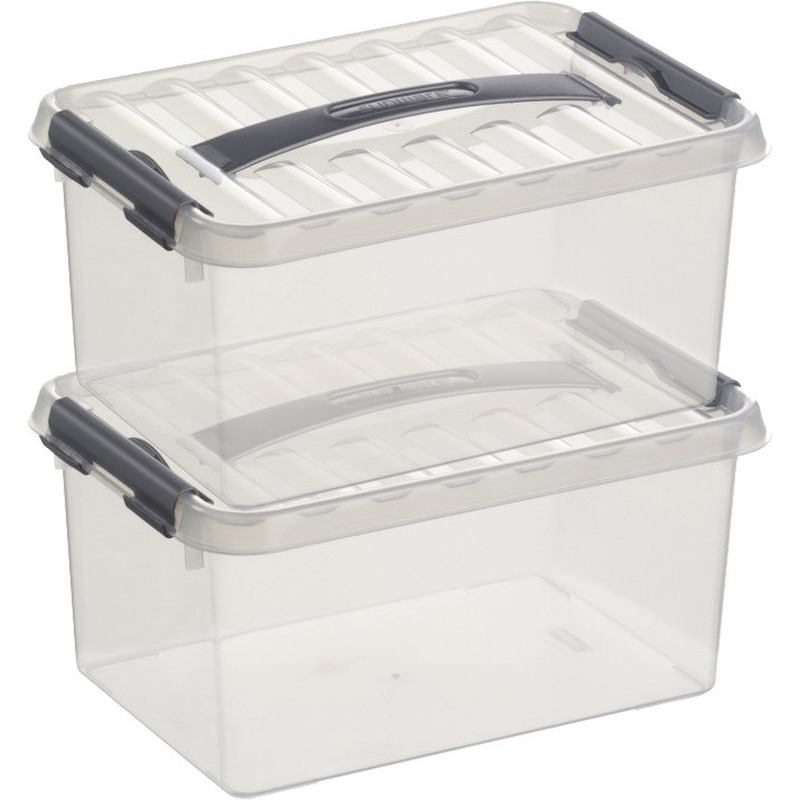 2x Opberg boxen/opbergdozen 6 liter 30 cm kunststof -