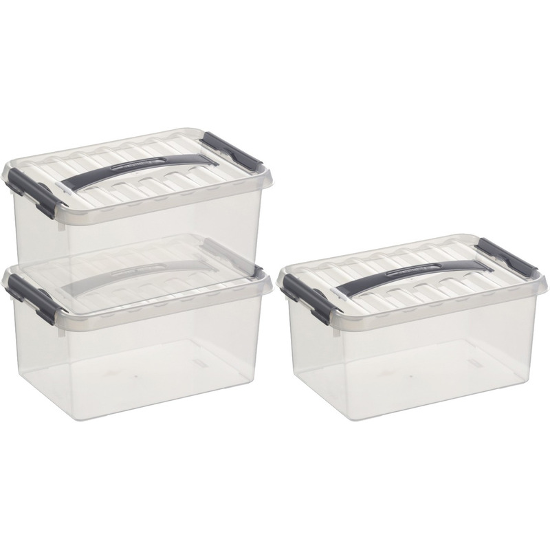 3x Opberg boxen/opbergdozen 6 liter 30 cm kunststof -