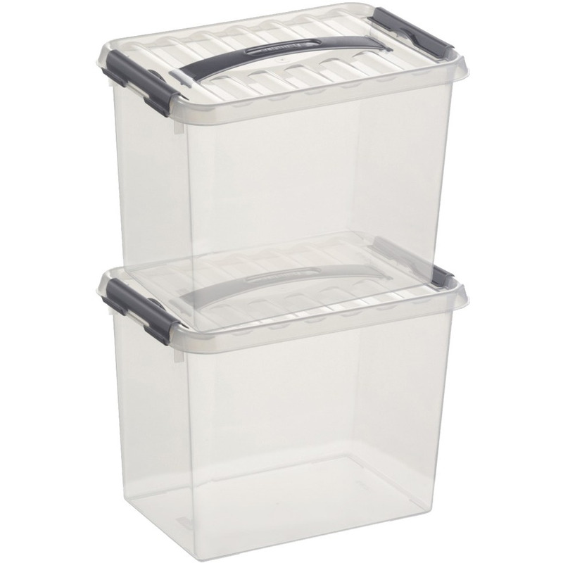 2x Opberg boxen/opbergdozen 9 liter 30 x 20 x 22 cm kunststof -