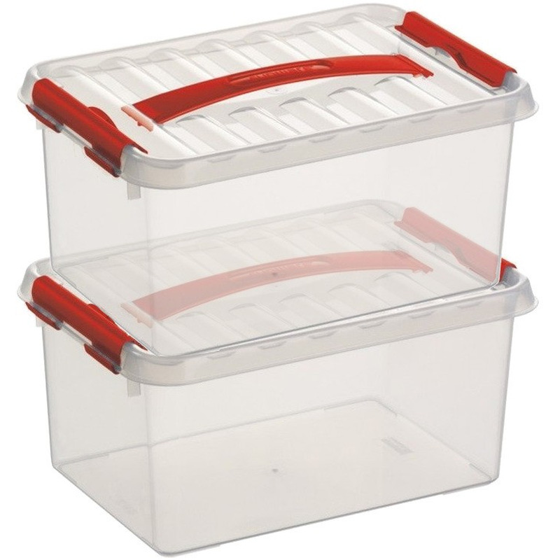 2x Opberg boxen/opbergdozen 6 liter 30 x 20 x 14 cm kunststof -