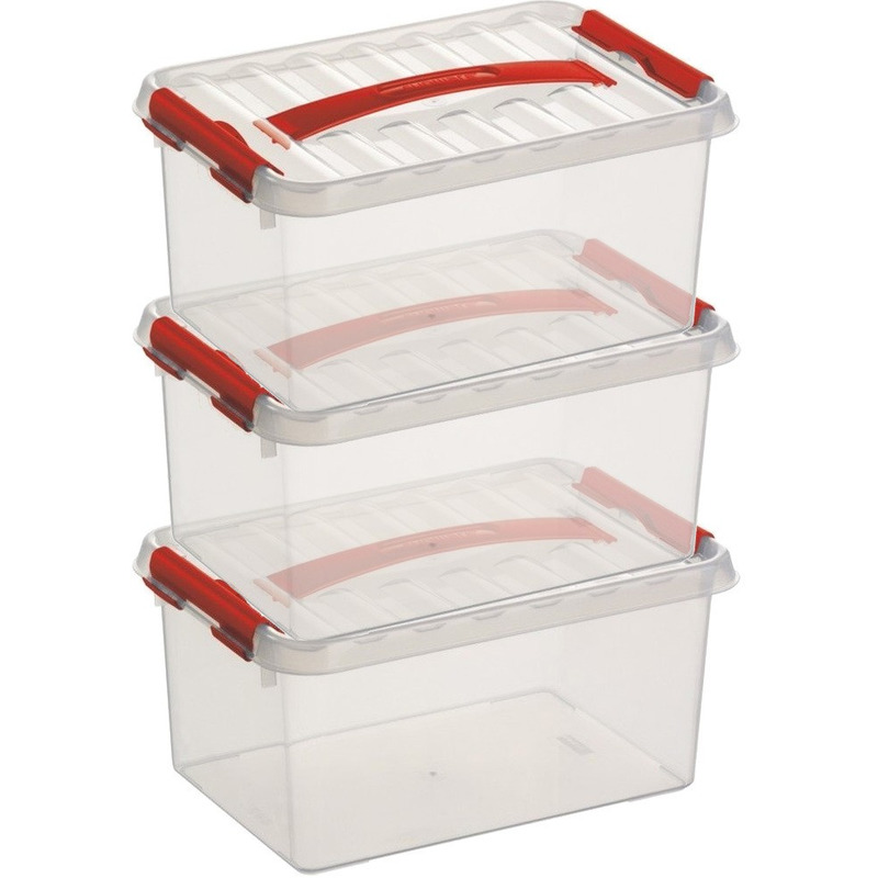 3x Opberg boxen/opbergdozen 6 liter 30 x 20 x 14 cm kunststof -