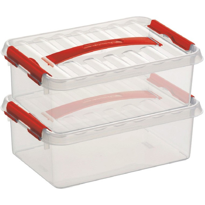 2x Opberg boxen/opbergdozen 4 liter 30 x 20 x 10 cm kunststof -