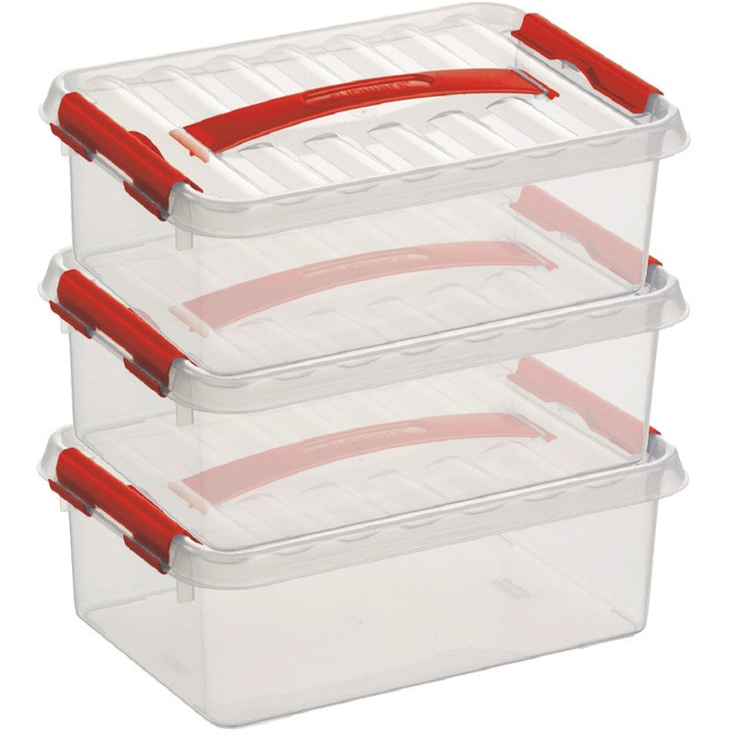 3x Opberg boxen/opbergdozen 4 liter 30 x 20 x 10 cm kunststof -