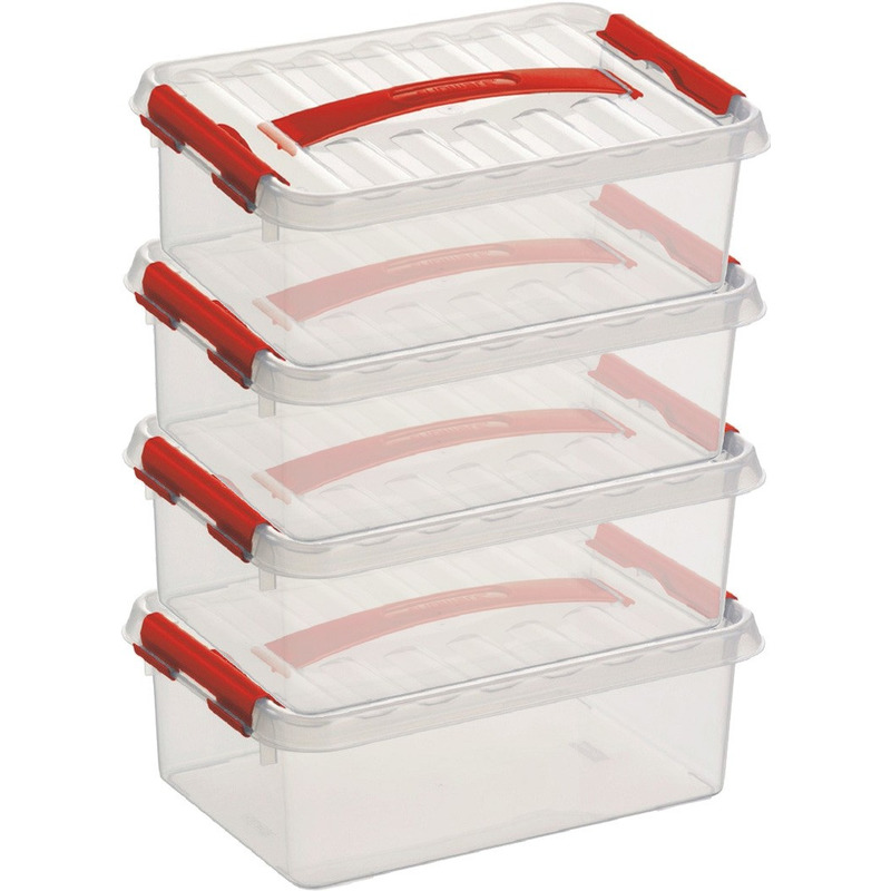 4x Opberg boxen/opbergdozen 4 liter 30 x 20 x 10 cm kunststof -
