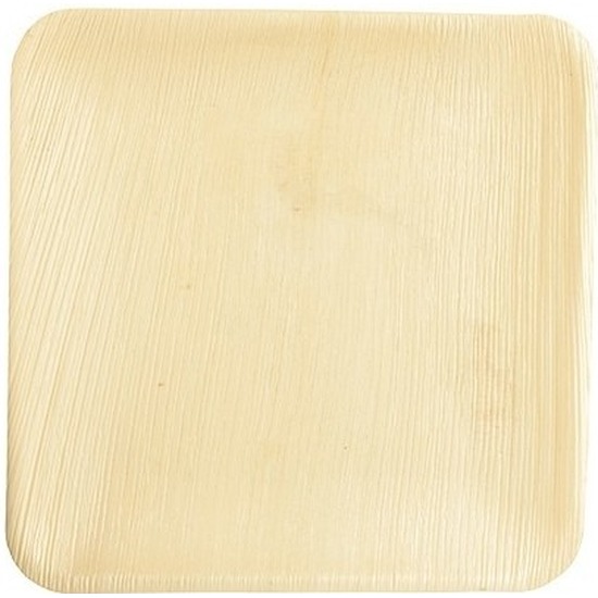 24x Wegwerp servies borden vierkant 25,5 cm biologisch/compost -