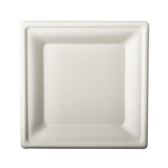 36x Witte suikerriet lunchbordjes 20 cm biologisch afbreekbaar -