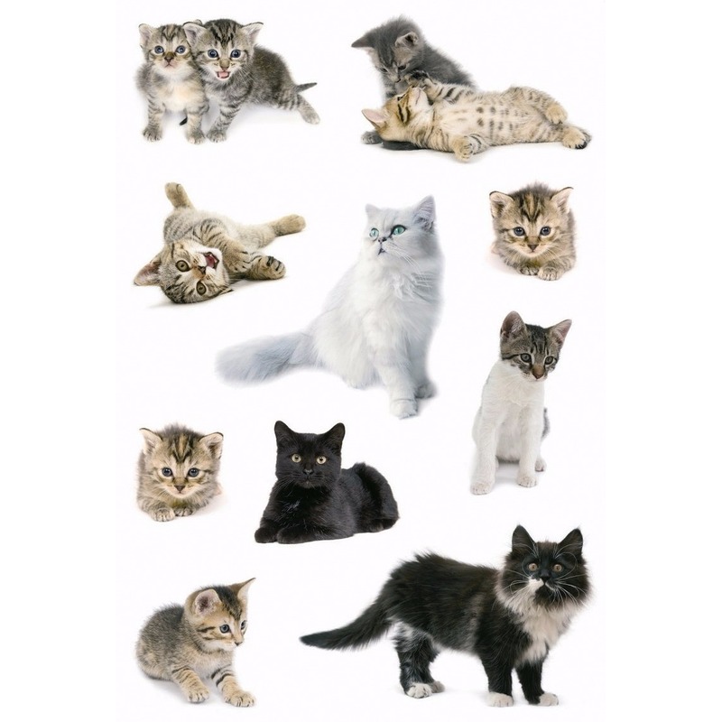 9x Stickervellen katten/poezen stickers -