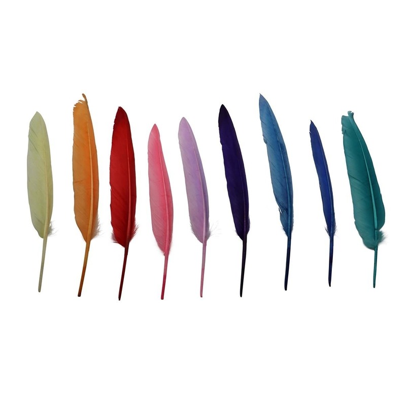 Decoratie veren - 60x - gekleurd - 15 - 20 cm - veertjes - hobby -