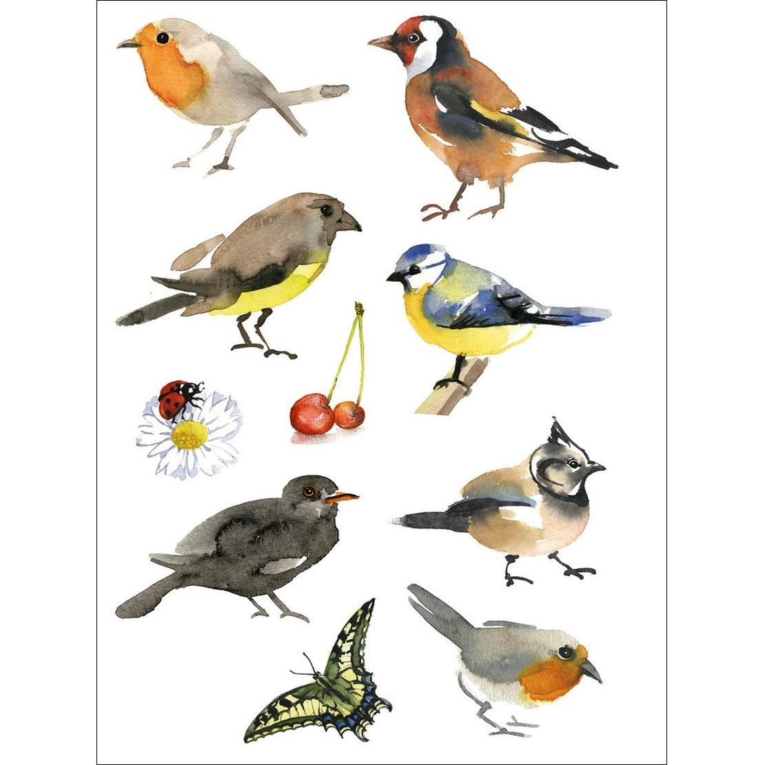 Tuinvogels thema stickers - 30x stuks - kinderstickers - stickervellen - decoratie artike -