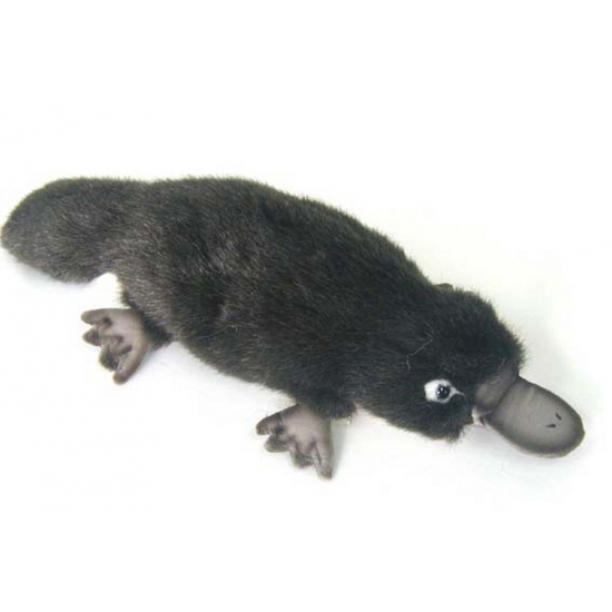 Pluche vogelbekdier knuffel - 30 cm - dieren knuffels -