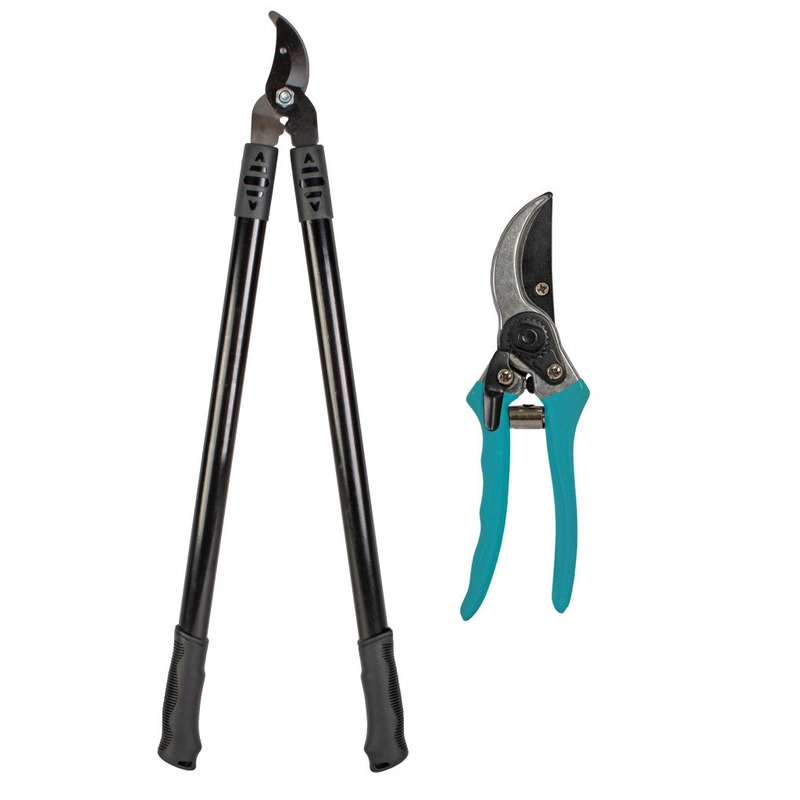 Tuingereedschap takkenschaar en blauwe snoeischaar set -